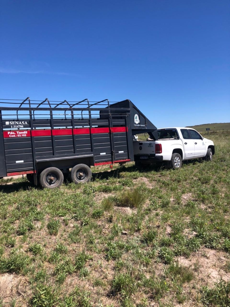 Para Cabaña San Edmundo el hecho de no tener tierra propia se terminó transformando en una fortaleza estratégica