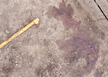 La productora Natalí Spala recibió la visita de cuatreros que le robaron hasta el último lechón navideño: “La sangre es lo único que me dejaron”