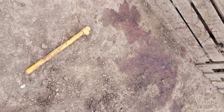 La productora Natalí Spala recibió la visita de cuatreros que le robaron hasta el último lechón navideño: “La sangre es lo único que me dejaron”