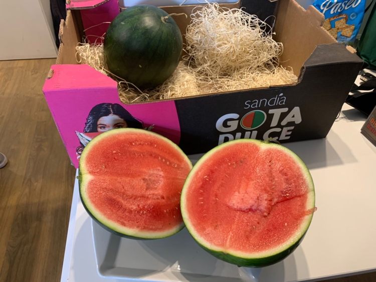 Se viene el verano y buscan introducir nuevas variedades de sandía, sin vetas y mucho más dulces, en el mercado argentino