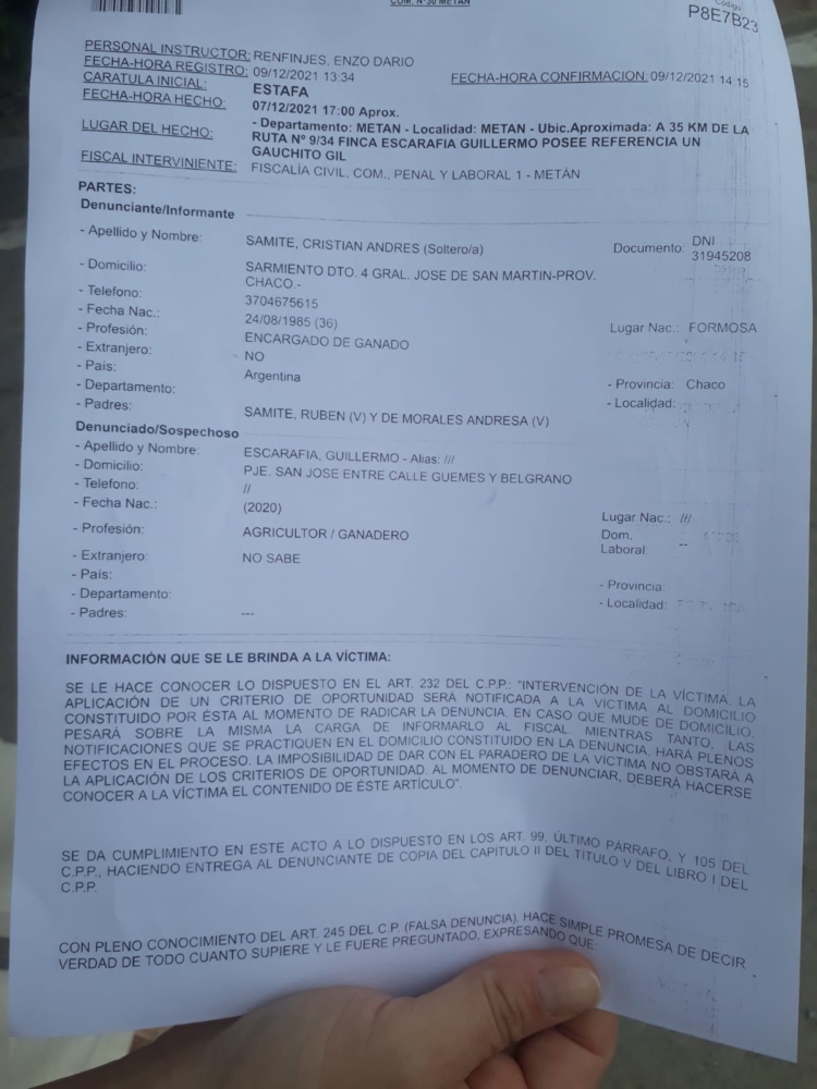 Dos ganaderos chaqueños denuncian haber sido estafados por más de cuatro millones de pesos con un DTE falsificado: Senasa decomisó la hacienda