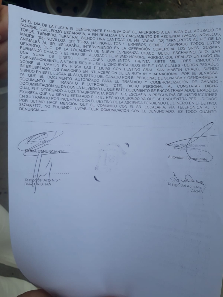 Dos ganaderos chaqueños denuncian haber sido estafados por más de cuatro millones de pesos con un DTE falsificado: Senasa decomisó la hacienda