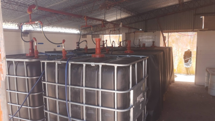 Las vacas de Gustavo no solo le dan leche: Con la bosta elabora un biofertilizante que le permite diversificar sus ingresos