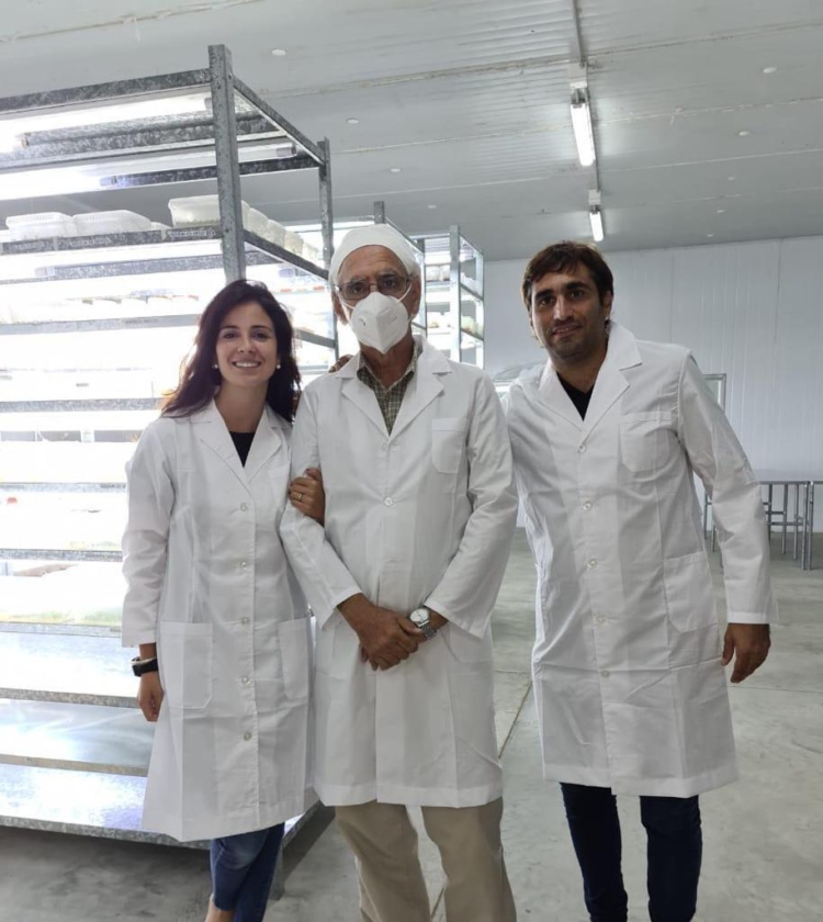 En esta Navidad, ponele alcaparras argentinas a tu vitel toné: Pablo Rico las produce en La Banda y quiere difundir el cultivo