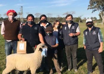Tommy Fogg comenzó a criar ovejas para hacer algo con sus hijos y ahora es un gran impulsor de la actividad ovina en Entre Ríos