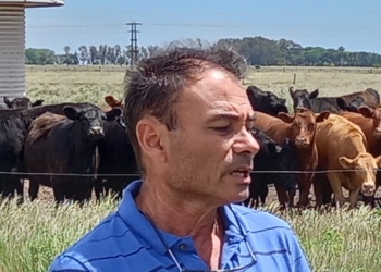 Un ganadero todo terreno: Alberto Rodríguez no se encasilla en ningún sistema y ha logrado integrar toda la cadena con creatividad y sacrificio