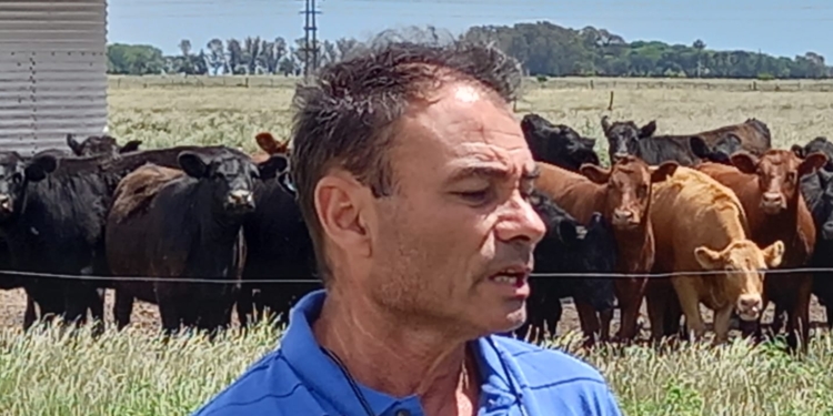 Un ganadero todo terreno: Alberto Rodríguez no se encasilla en ningún sistema y ha logrado integrar toda la cadena con creatividad y sacrificio
