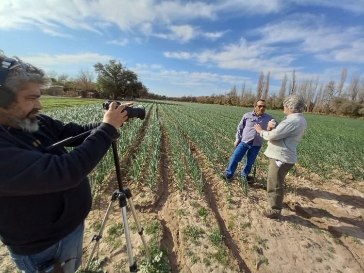 La Peña del Colorado: Un brindis por los que trabajan en este país, donde los políticos hacen siempre lo contrario
