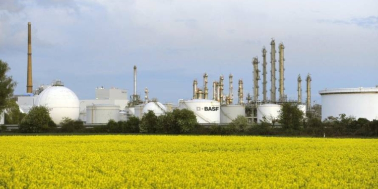 La alemana Basf también se sube a la agricultura baja en carbono: Ayudará a los productores a medir su huella y obtener bonos