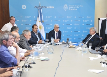 El dilema del stock bovino o la ensalada perfecta para mantener los siete cortes prohibidos y desmantelar otros cupos a la exportación de carne