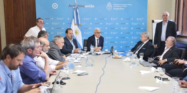 El dilema del stock bovino o la ensalada perfecta para mantener los siete cortes prohibidos y desmantelar otros cupos a la exportación de carne