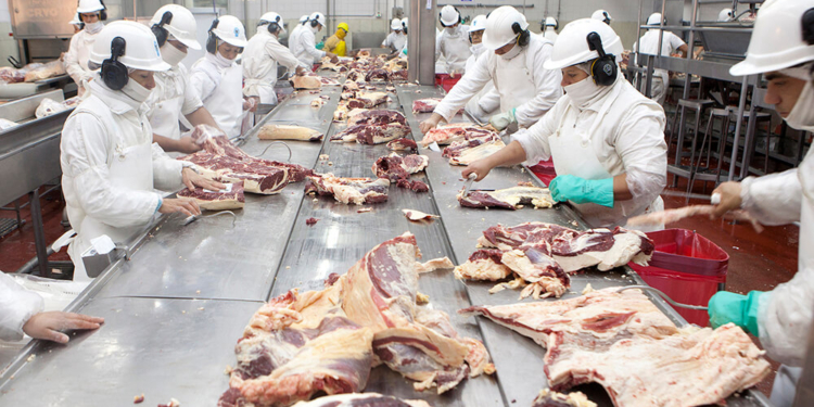 La Argentina exporta cada vez más hueso y menos carne: Las cifras del negocio hasta noviembre de 2021