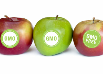 A partir del 1° de enero, los alimentos genéticamente modificados deberán estar etiquetados en Estados Unidos