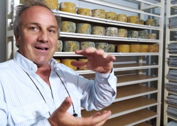 Inspirado en una vieja Infortambo, el agrónomo Germán Garganta decidió elaborar exquisitos quesos de oveja cerca de La Plata: Hasta les hizo una soja para pastoreo