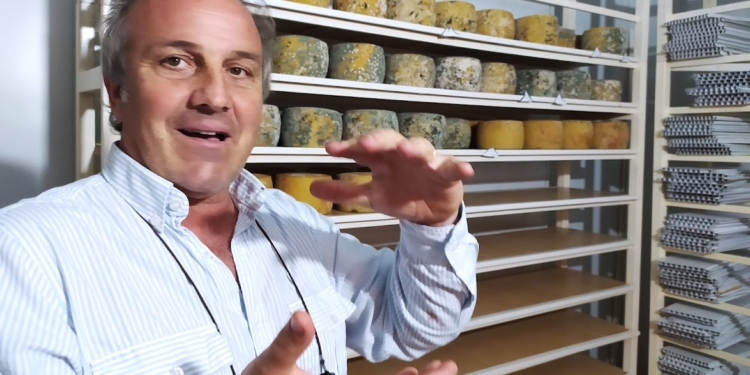 Inspirado en una vieja Infortambo, el agrónomo Germán Garganta decidió elaborar exquisitos quesos de oveja cerca de La Plata: Hasta les hizo una soja para pastoreo