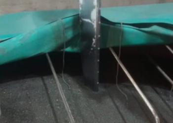 Ya se despachó el primer lote de girasol del ciclo 2021/22: rindió apenas 13 qq/ha