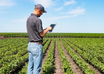 ¿Cuáles fueron las diez notas más leídas de 2021 en Bichos de Campo?
