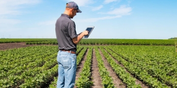 ¿Cuáles fueron las diez notas más leídas de 2021 en Bichos de Campo?