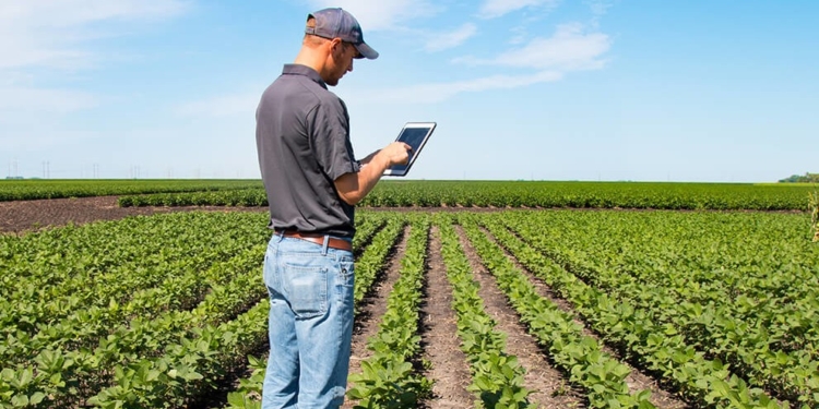 ¿Cuáles fueron las diez notas más leídas de 2021 en Bichos de Campo?