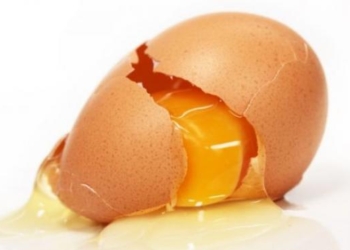 Algo está roto: En la Argentina se venden los huevos más baratos de toda la región, mientras muchas avícolas familiares se funden