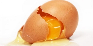 Algo está roto: En la Argentina se venden los huevos más baratos de toda la región, mientras muchas avícolas familiares se funden