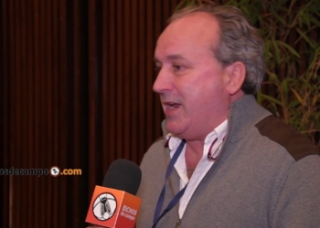 Una visión polémica sobre el trigo HB4: El ex secretario Miguel Campos cree que estuvo bien liberado, pero que fue multiplicado de modo “vidrioso”