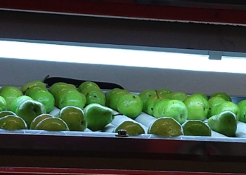 Radiografía de la pera: En cada kilo vendido, obtiene más dinero el verdulero que el productor que la cosechó