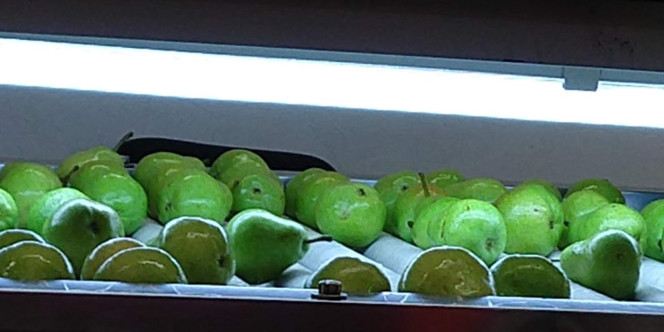 Radiografía de la pera: En cada kilo vendido, obtiene más dinero el verdulero que el productor que la cosechó