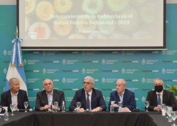 A la mitad del gobierno de Alberto, Domínguez relanzó la política forestal: Quieren plantar dos árboles nuevos por habitante