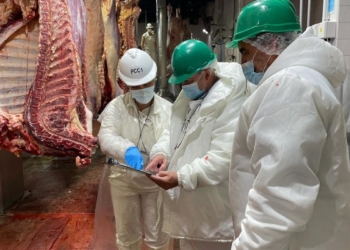 Una orden de Domínguez al Senasa para “apretar” a los frigoríficos es la mejor prueba de que en 2022 seguirán firmes los cupos para exportar carne