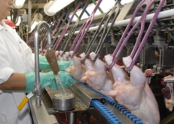 Con el 2022 tocando la puerta, los trabajadores avícolas lograron una “gratificación” de 12 mil pesos