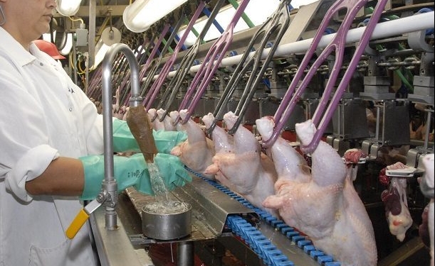 Con el 2022 tocando la puerta, los trabajadores avícolas lograron una “gratificación” de 12 mil pesos