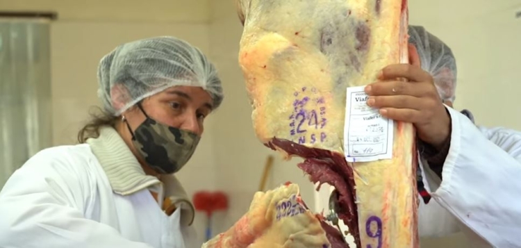 ¿Cómo se educa a los chicos en una escuela agrotécnica? En la Ramón Santamarina de Tandil trabajan en una decena de cadenas productivas para que los alumnos aprendan y puedan elegir