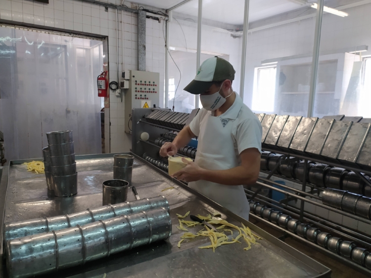 ¿Cómo se educa a los chicos en una escuela agrotécnica? En la Ramón Santamarina de Tandil trabajan en una decena de cadenas productivas para que los alumnos aprendan y puedan elegir