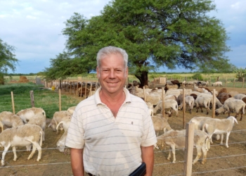 El cabañero Marcelo Treachi protagoniza una revolución ganadera que incluye muchos cambios: De las vacas a la ovejas,  de la Holando a la Dorper, de Buenos Aires a Santiago