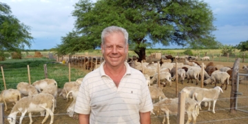 El cabañero Marcelo Treachi protagoniza una revolución ganadera que incluye muchos cambios: De las vacas a la ovejas,  de la Holando a la Dorper, de Buenos Aires a Santiago