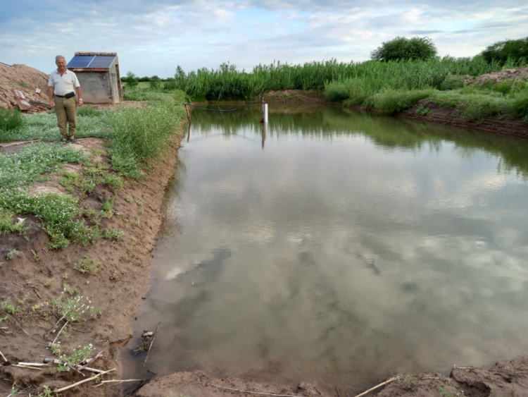 El cabañero Marcelo Treachi protagoniza una revolución ganadera que incluye muchos cambios: De las vacas a la ovejas,  de la Holando a la Dorper, de Buenos Aires a Santiago