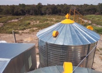 Por el empuje de un grupo de productores, Formosa tendrá operativa en febrero su primera planta de procesamiento de soja