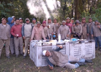 Radiografía de un cosechero: ¿Cómo trabajan quienes se dedican todo el año, todos los años, a recolectar la fruta?