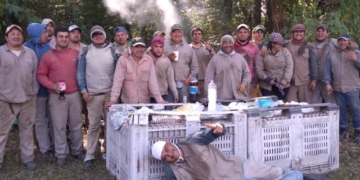 Radiografía de un cosechero: ¿Cómo trabajan quienes se dedican todo el año, todos los años, a recolectar la fruta?