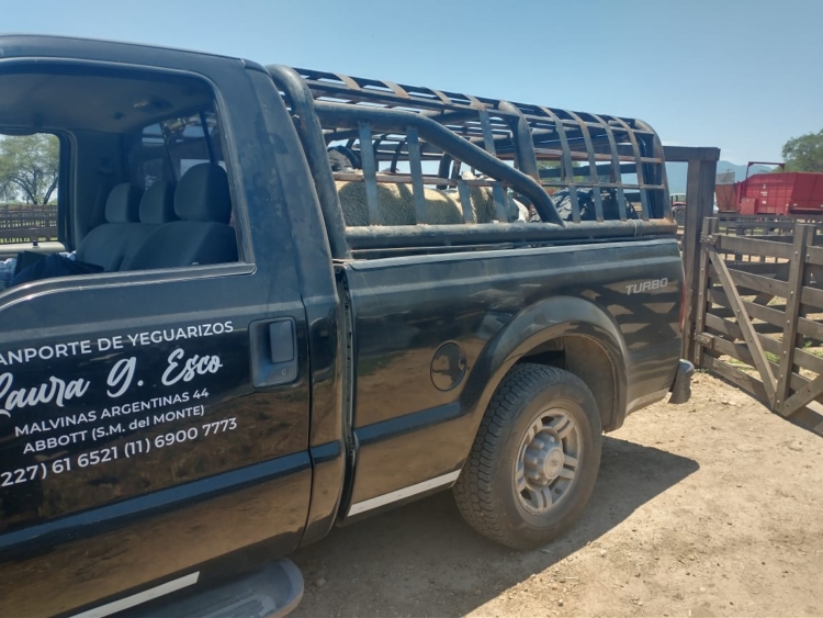 Como no existía un servicio logístico especializado, Guillermo Rasquetti adaptó su camioneta para transportar ovinos por todo el país: “Faltaba el traslado para pocos animales”