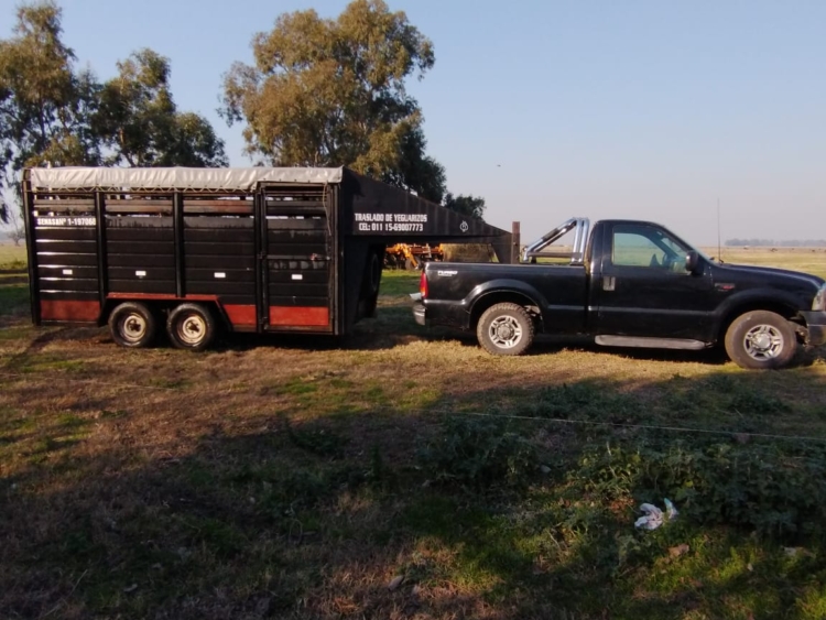 Como no existía un servicio logístico especializado, Guillermo Rasquetti adaptó su camioneta para transportar ovinos por todo el país: “Faltaba el traslado para pocos animales”