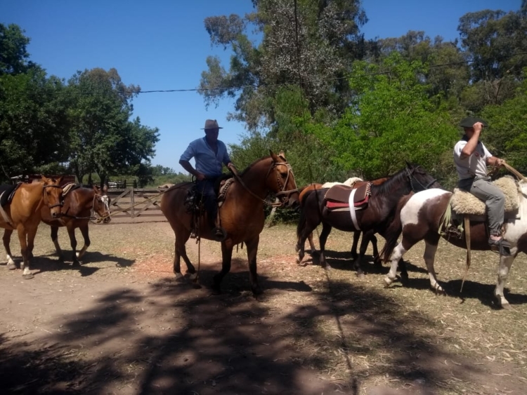 “Tengo mi cierta rebeldía gaucha”, dice “El Canario” Macullia, que se las arregla para vivir como le gusta: Elaborando salames y chorizos, mientras toca la guitarra entre amigos de Campana