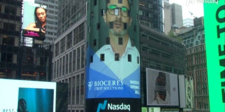 Agroempresas: Trigo HB4 no pudo vender, pero Bioceres duplicó su valor en Wall Street durante 2021