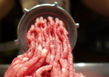 Una picadora: El plan oficial para erradicar la media res se porterga y piden analizar alternativas