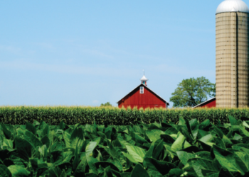 ¿Por qué los productores estadounidenses no son optimistas respecto al futuro a pesar de los altos precios de los granos?