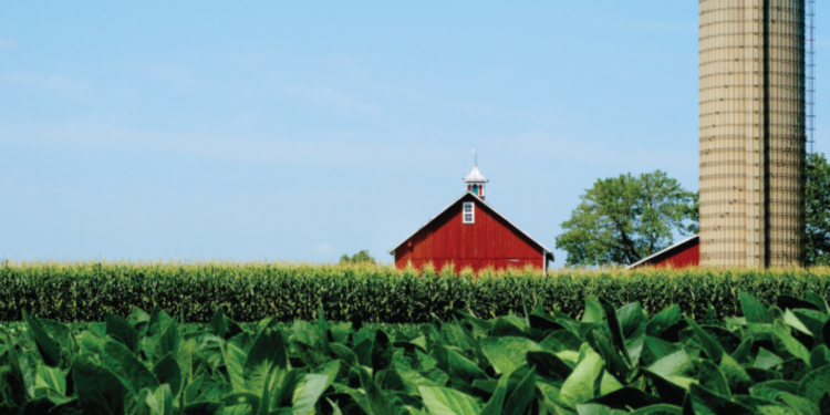 ¿Por qué los productores estadounidenses no son optimistas respecto al futuro a pesar de los altos precios de los granos?