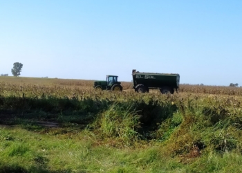 Con 100 mil pesos de compensaciones podrían haberse comprado 366 litros de glifosato. Pero se pagaron recién ahora, que solo alcanzan para 85 litros