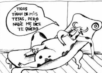 El ruralismo al diván: Sin nombrar al “ministro tóxico”, las cuatro entidades del agro explicaron las razones de su angustia y malhumor